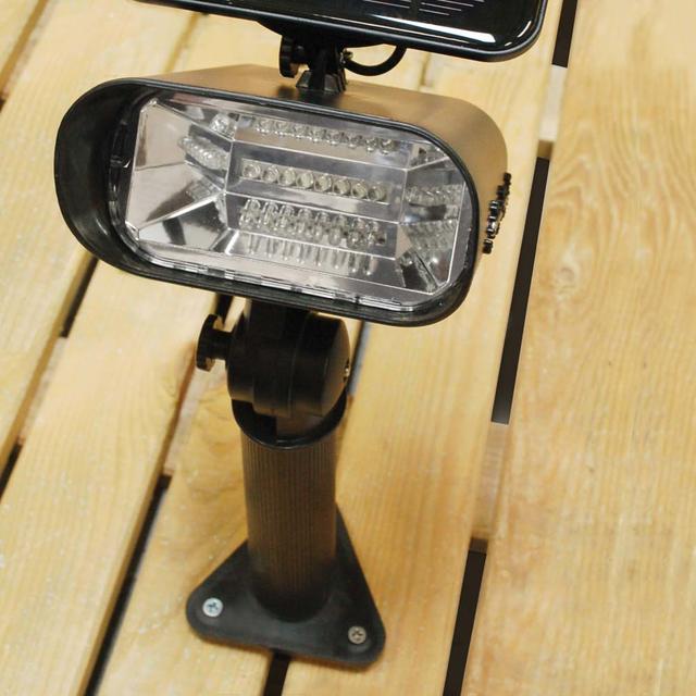 Thea Garden Spotlight