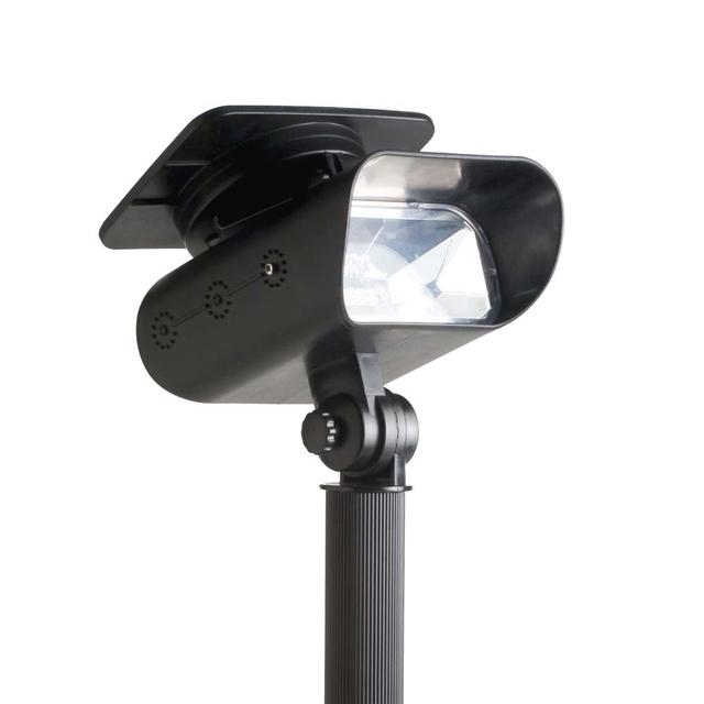 Thea Garden Spotlight