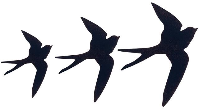 Golondrinas / Swallows Wall Art
