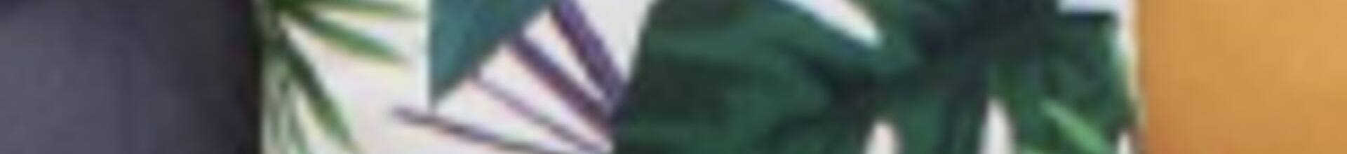 Tropical Green and Turquoise Square Scatter Cushion