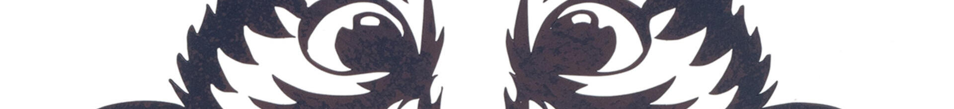 Peeping Cat Wall Art