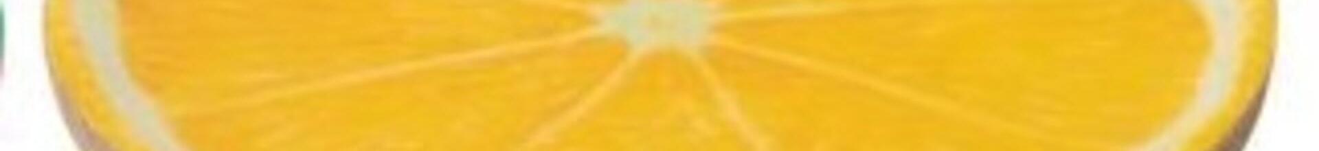 Decorative Fruit Plates - Lemon