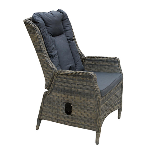 Rueda Woodash Reclining Wing Back Dining Chair